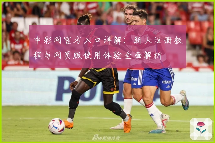中彩网官方入口详解：新人注册教程与网页版使用体验全面解析