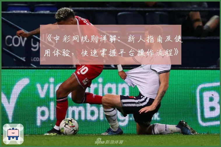 《中彩网规则详解：新人指南及使用体验，快速掌握平台操作流程》