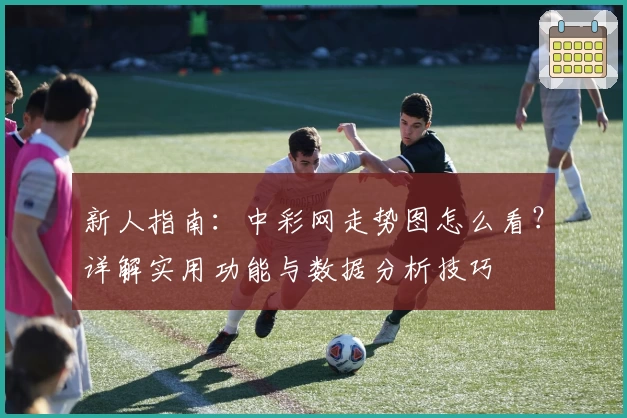 新人指南：中彩网走势图怎么看？详解实用功能与数据分析技巧