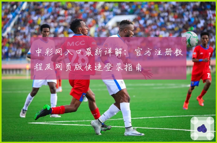 中彩网入口最新详解：官方注册教程及网页版快速登录指南