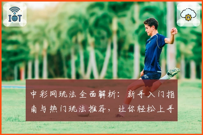 中彩网玩法全面解析:新手入门指南与热门玩法推荐,让你轻松上手